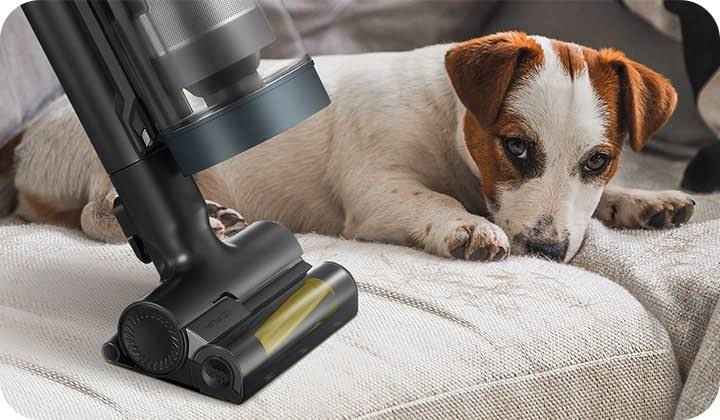 O melhor aspirador para pet limpando pelos de um cachorro em um sofá